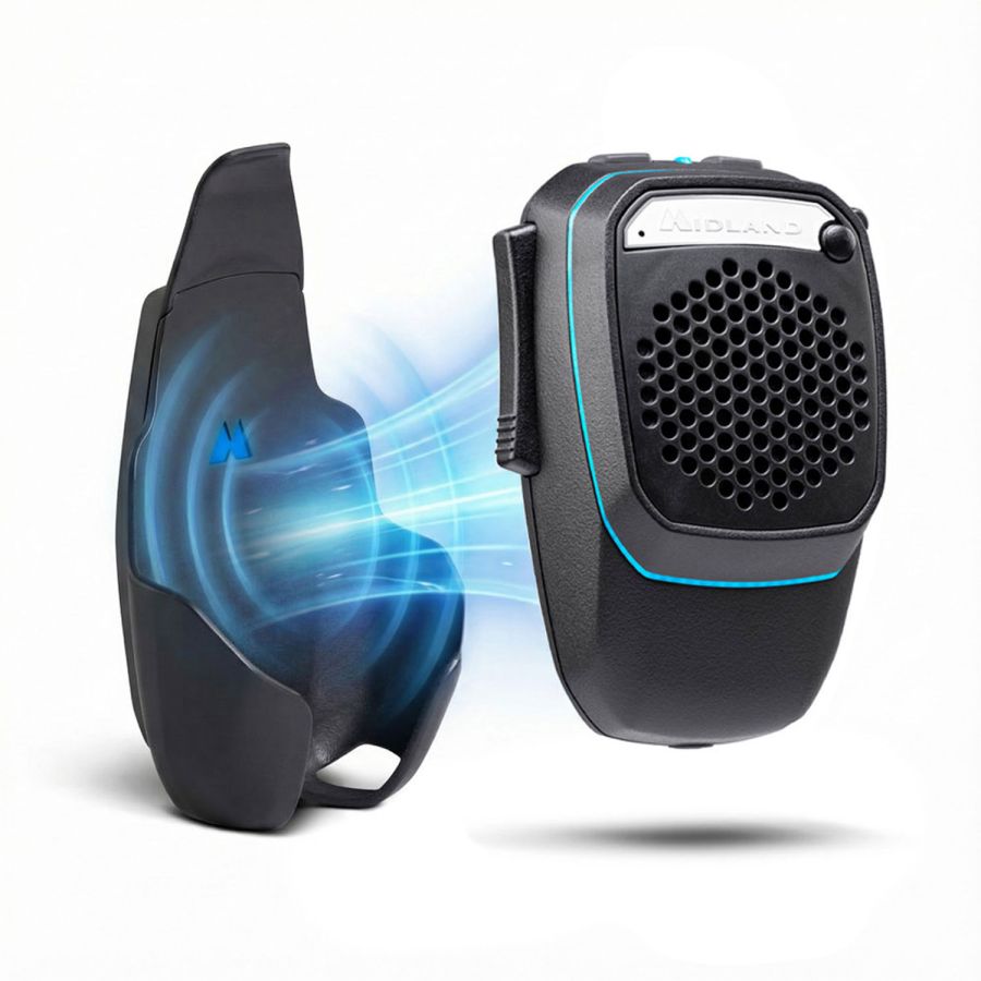 Dual Mike Wireless and Docking Station